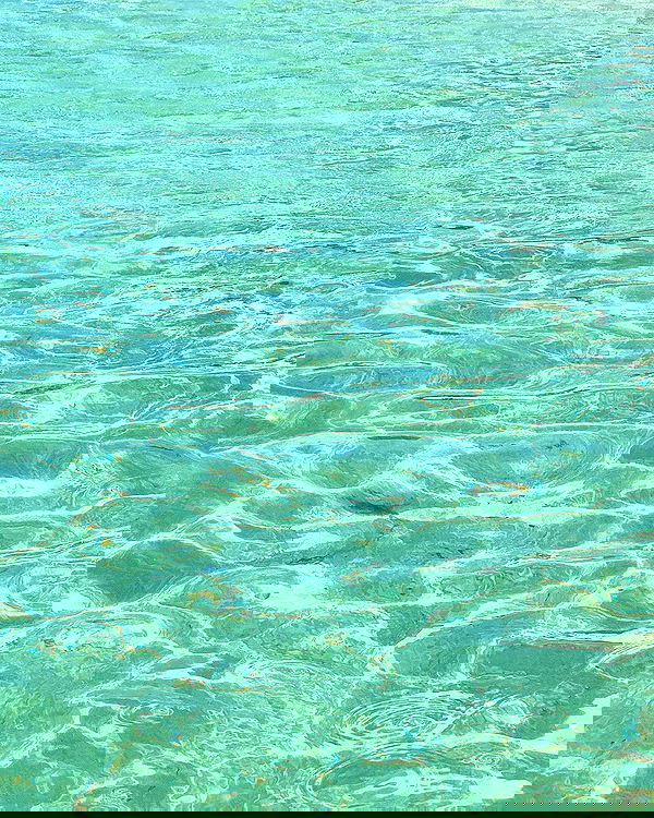 allygravemade image ~ Altpins