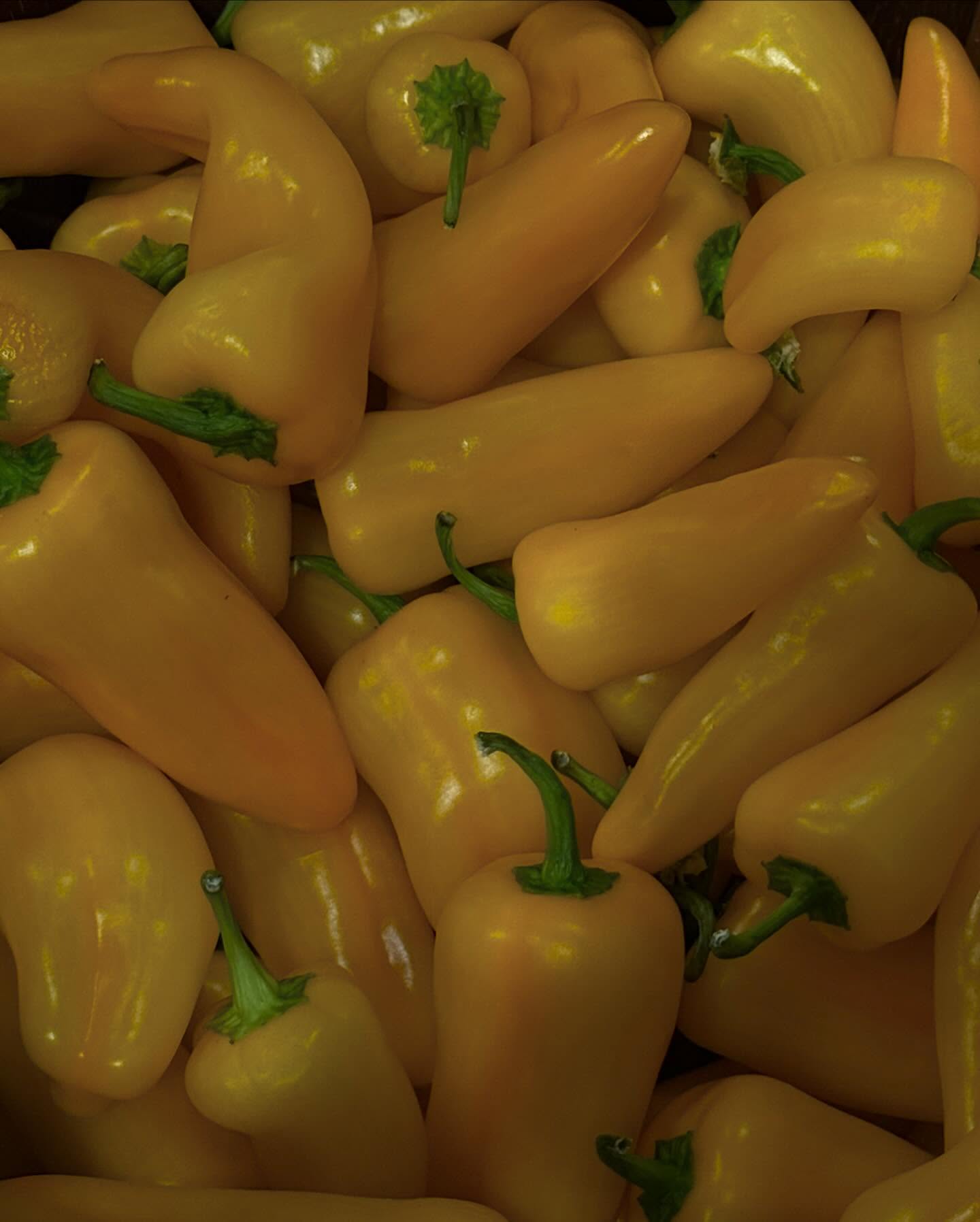 allygravemade instagram image archive image