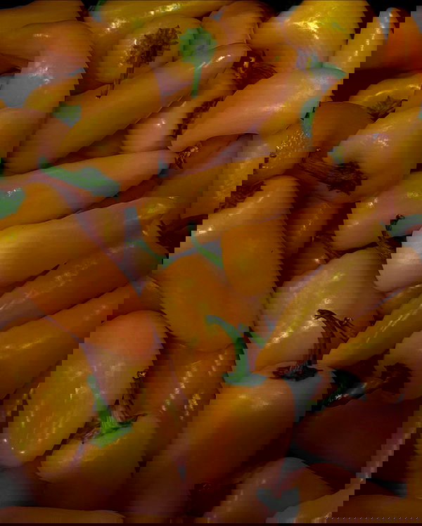 allygravemade image ~ Altpins