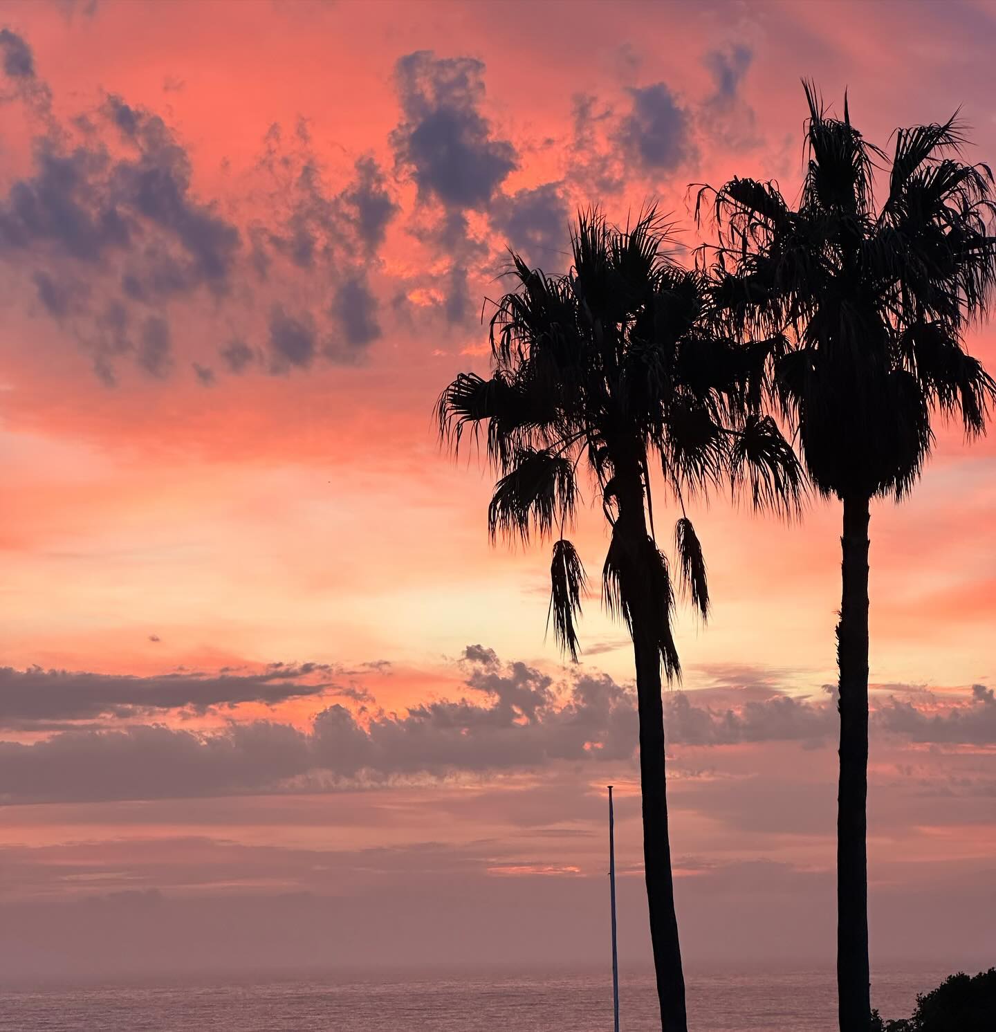 allygravemade instagram image archive image