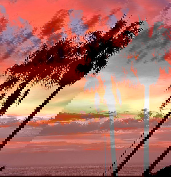 allygravemade image ~ Altpins