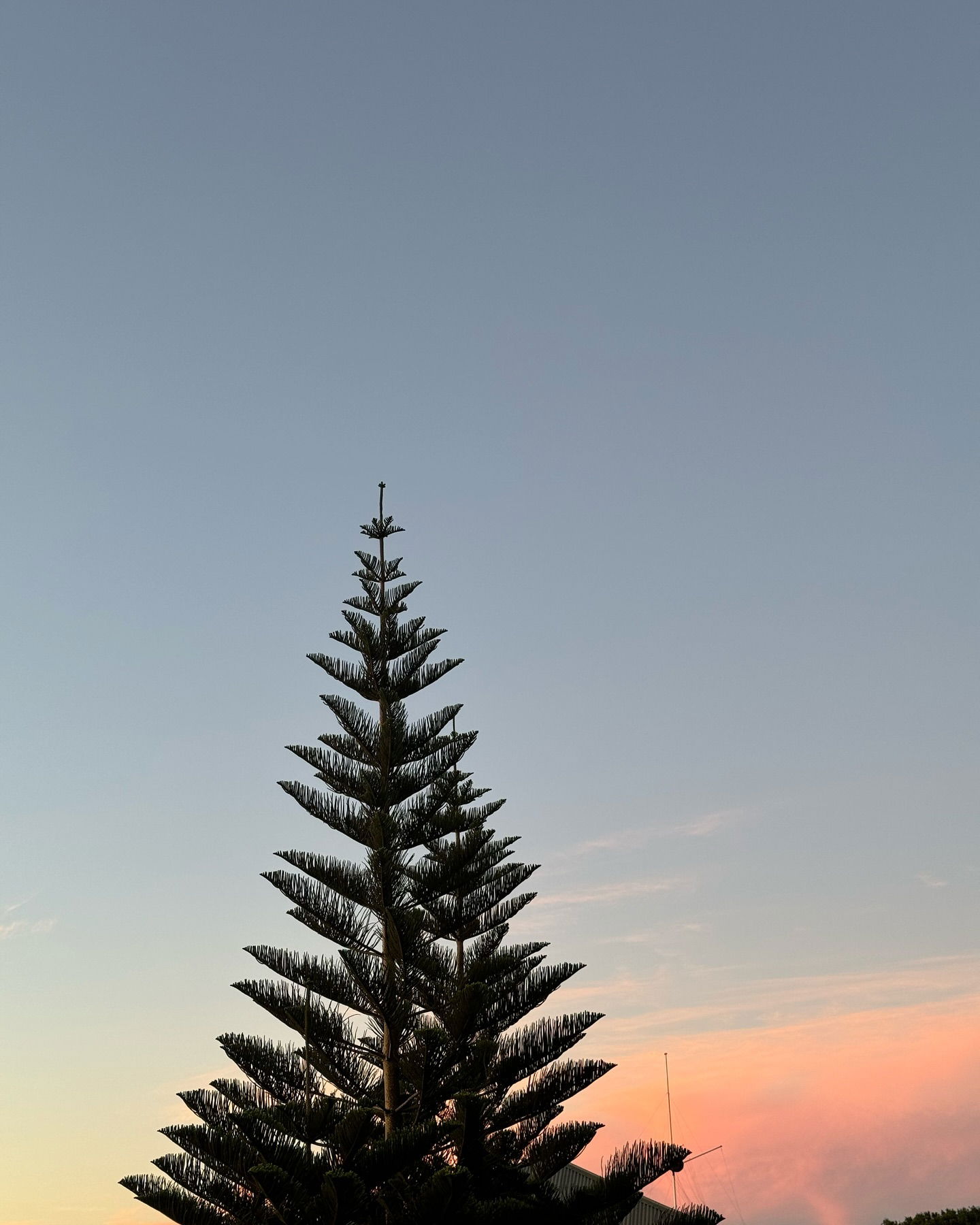 allygravemade instagram image archive image