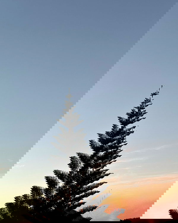 allygravemade image ~ Altpins