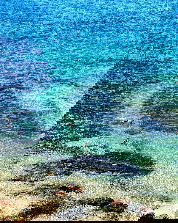 allygravemade image ~ Altpins