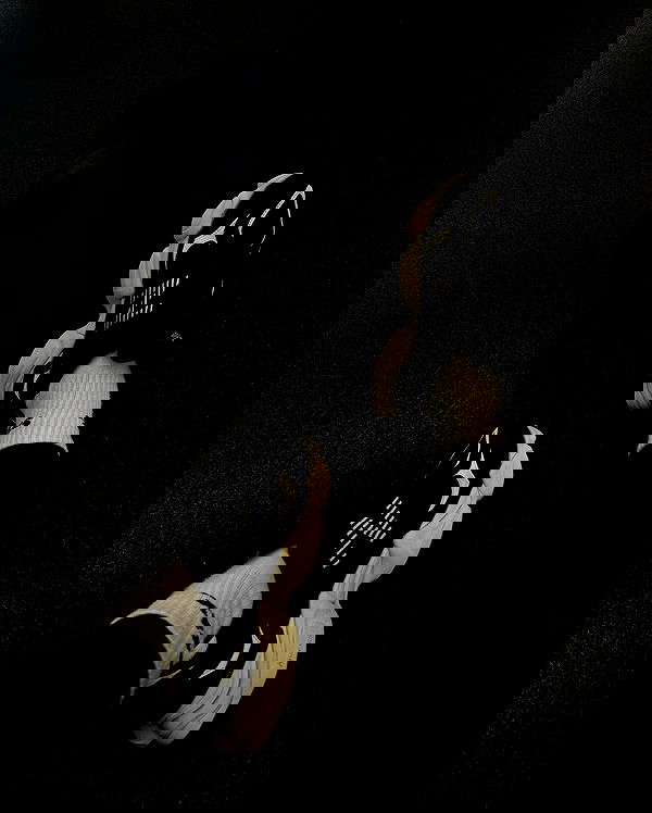 allygravemade image ~ Altpins