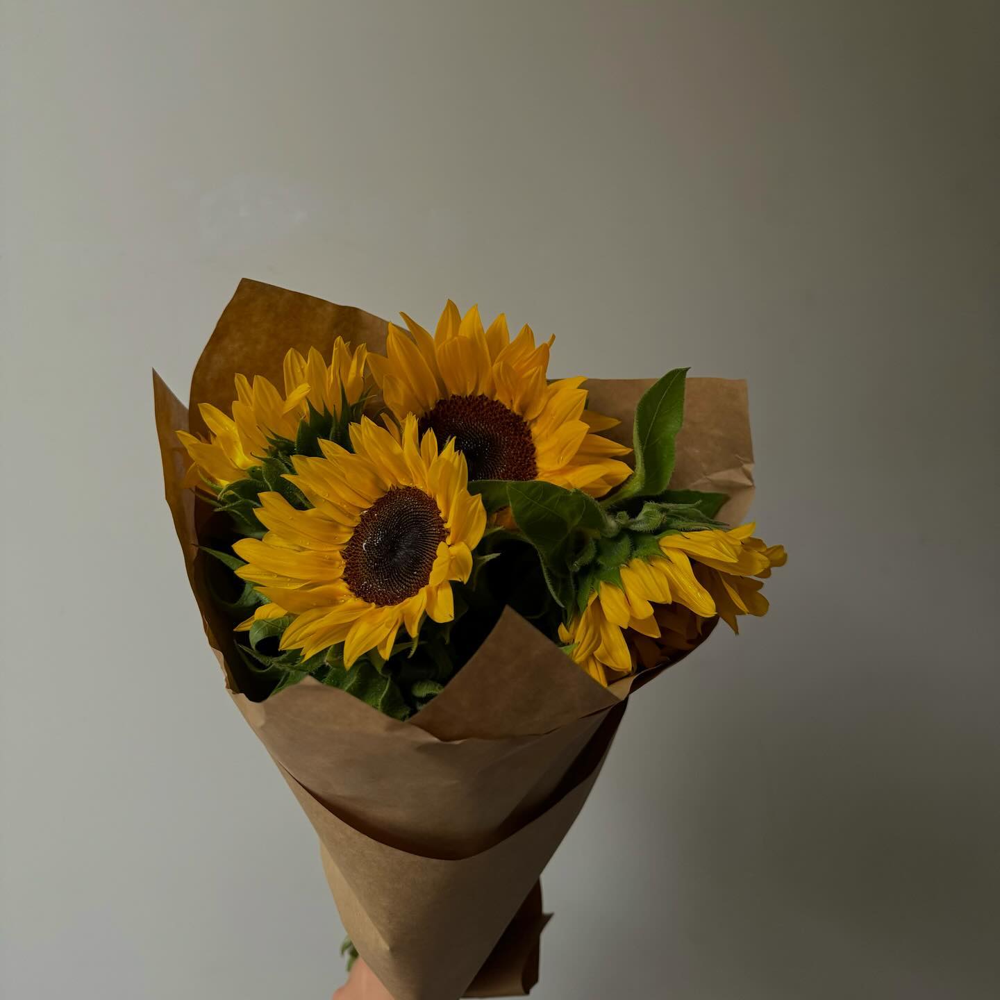 allygravemade instagram image archive image