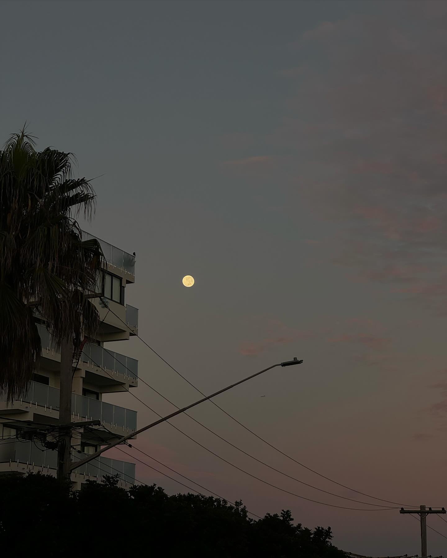 allygravemade instagram image archive image