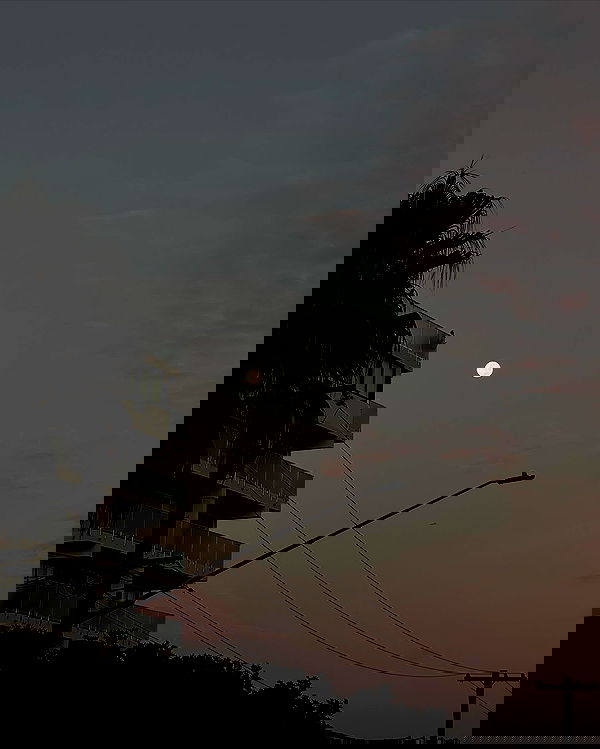 allygravemade image ~ Altpins