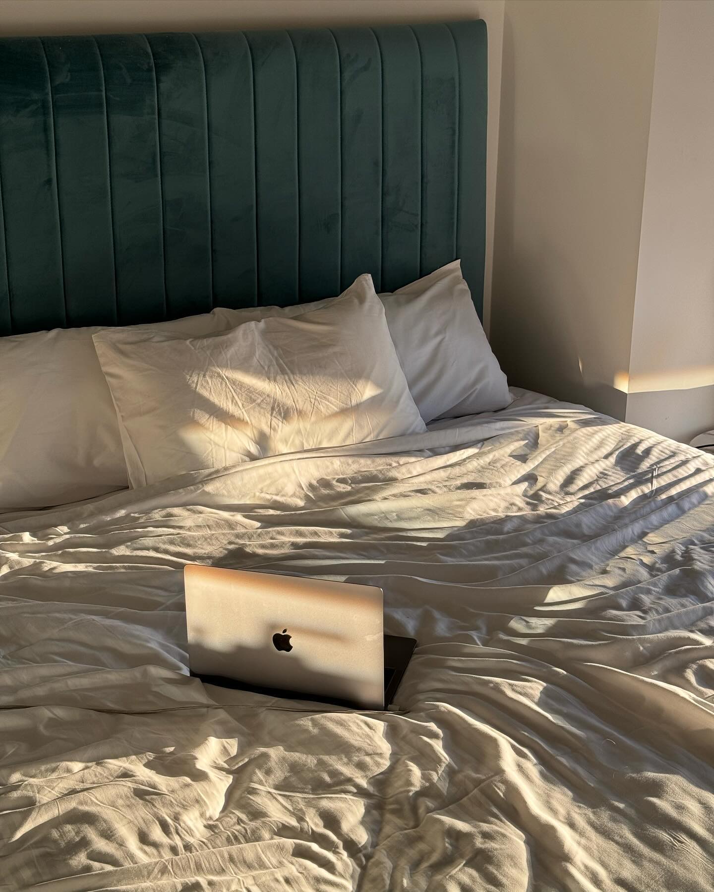 allygravemade instagram image archive image