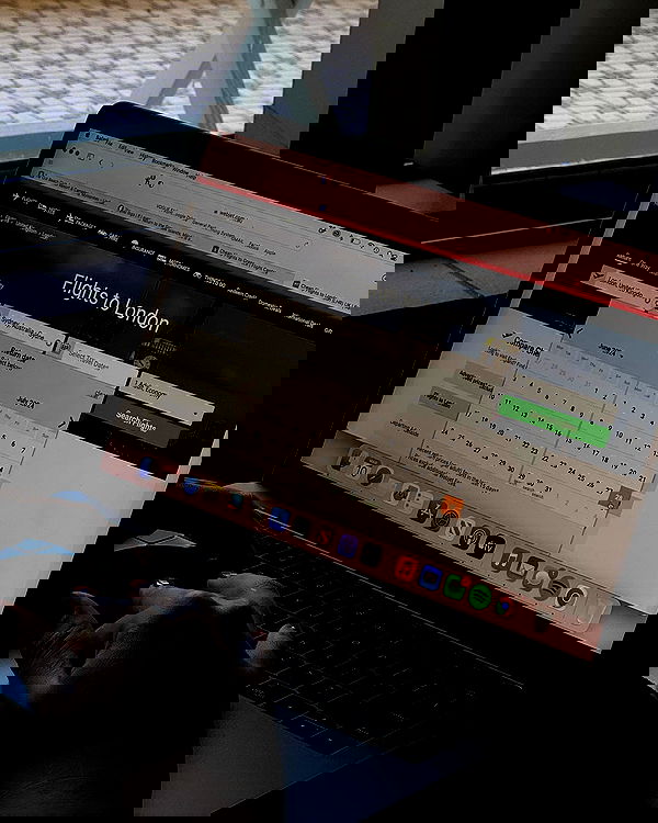 allygravemade image ~ Altpins