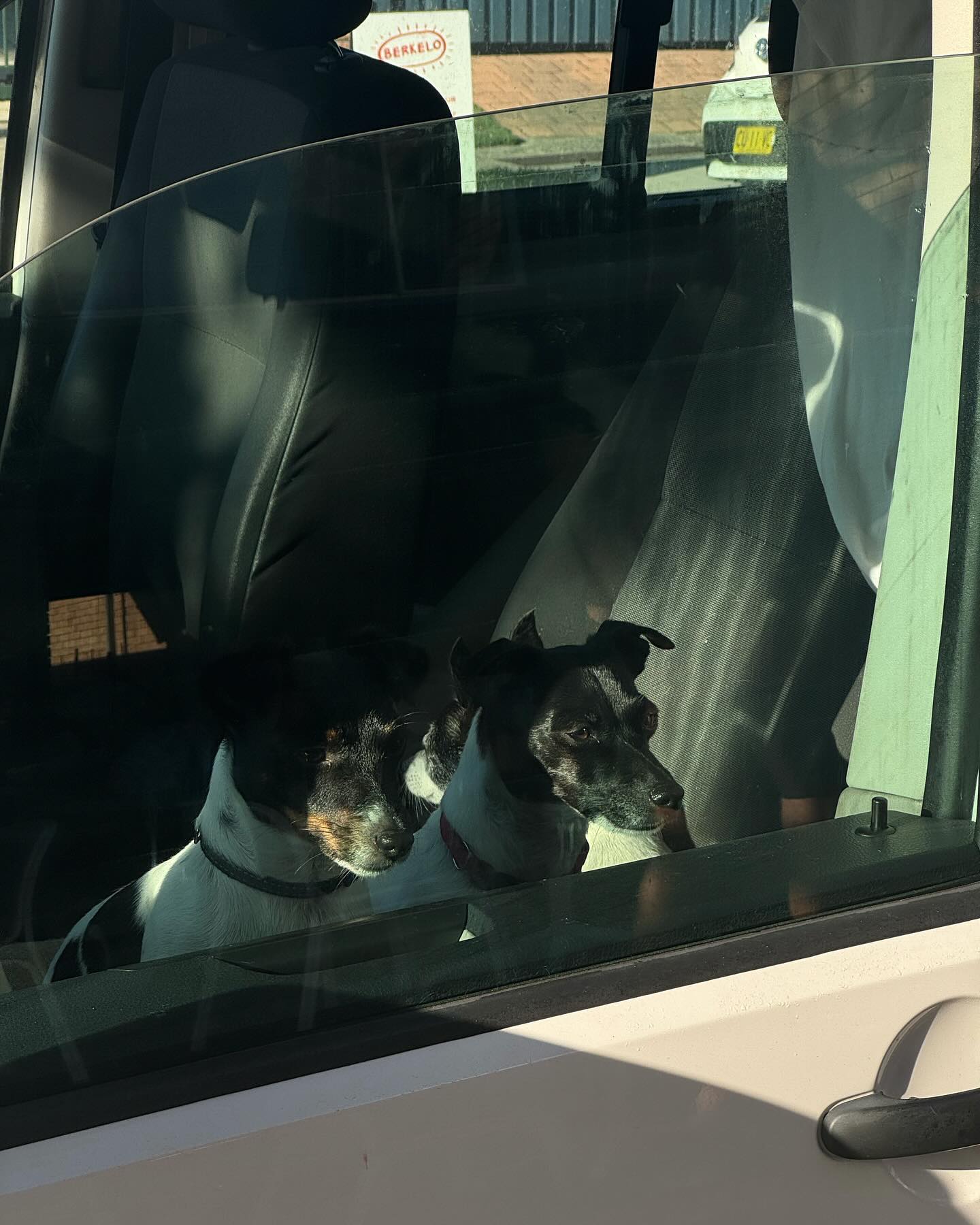 allygravemade instagram image archive image