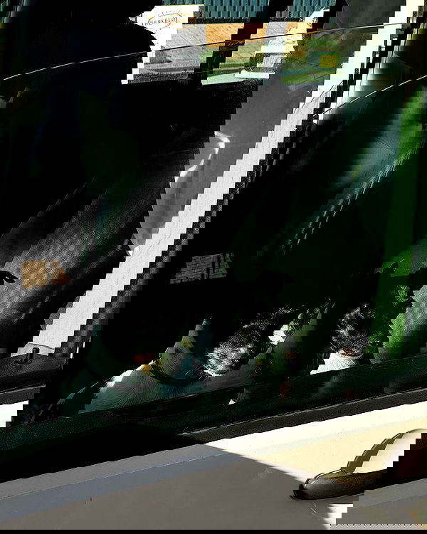 allygravemade image ~ Altpins