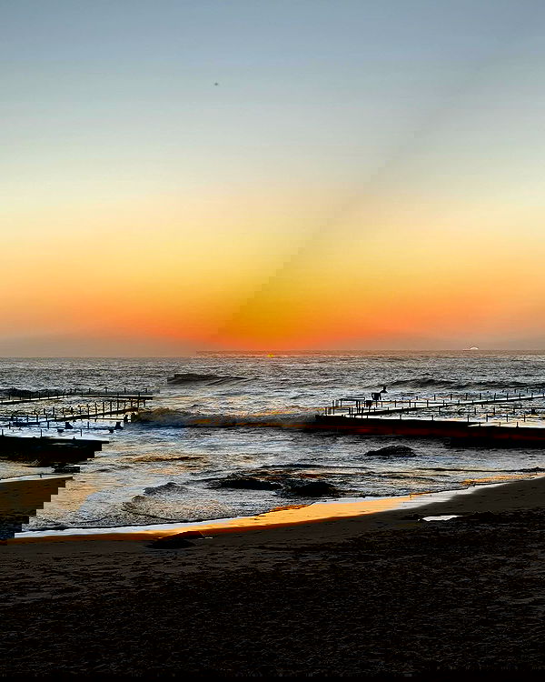 allygravemade image ~ Altpins