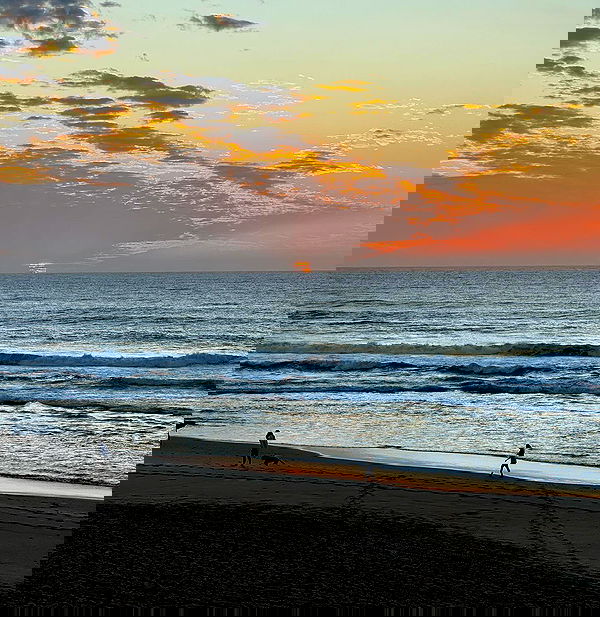 allygravemade image ~ Altpins