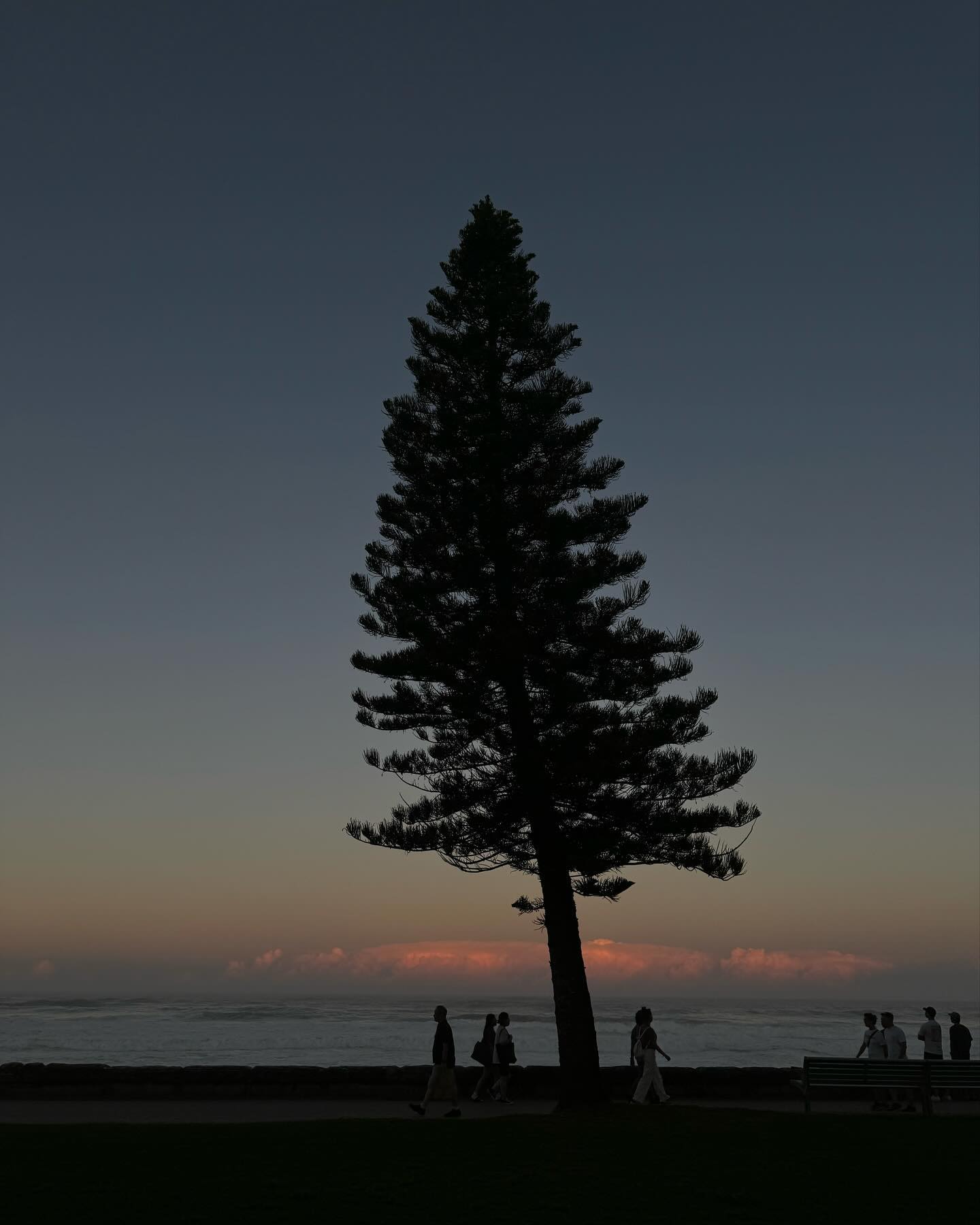 allygravemade instagram image archive image