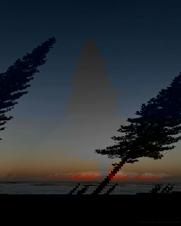 allygravemade image ~ Altpins