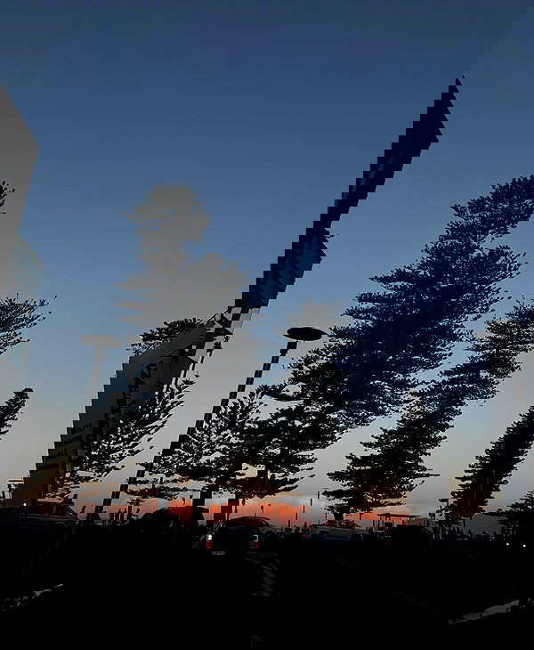 allygravemade image ~ Altpins