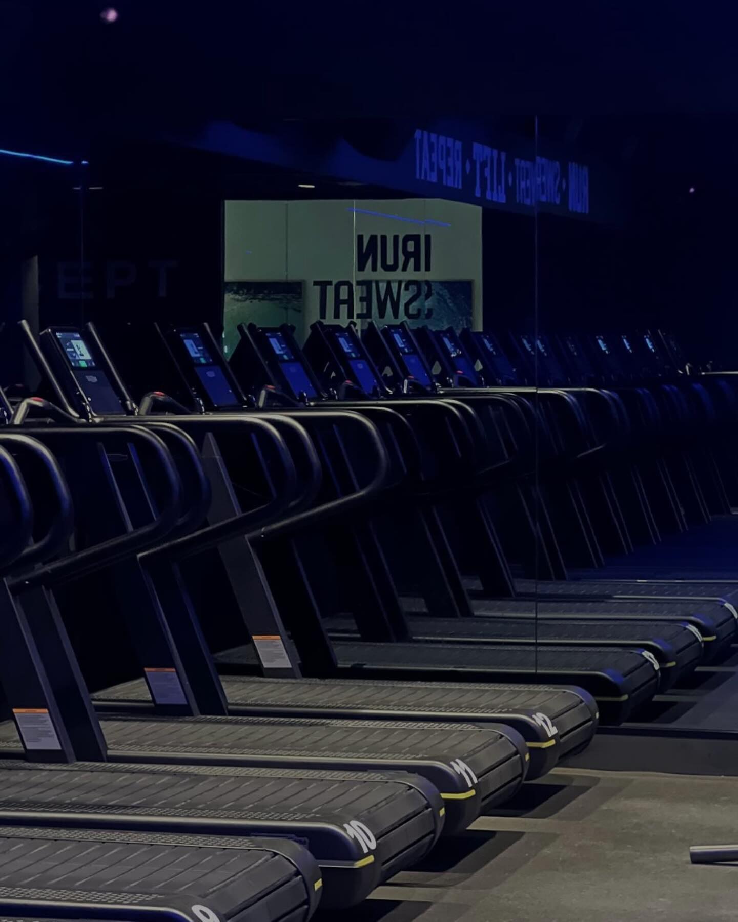 allygravemade instagram image archive image