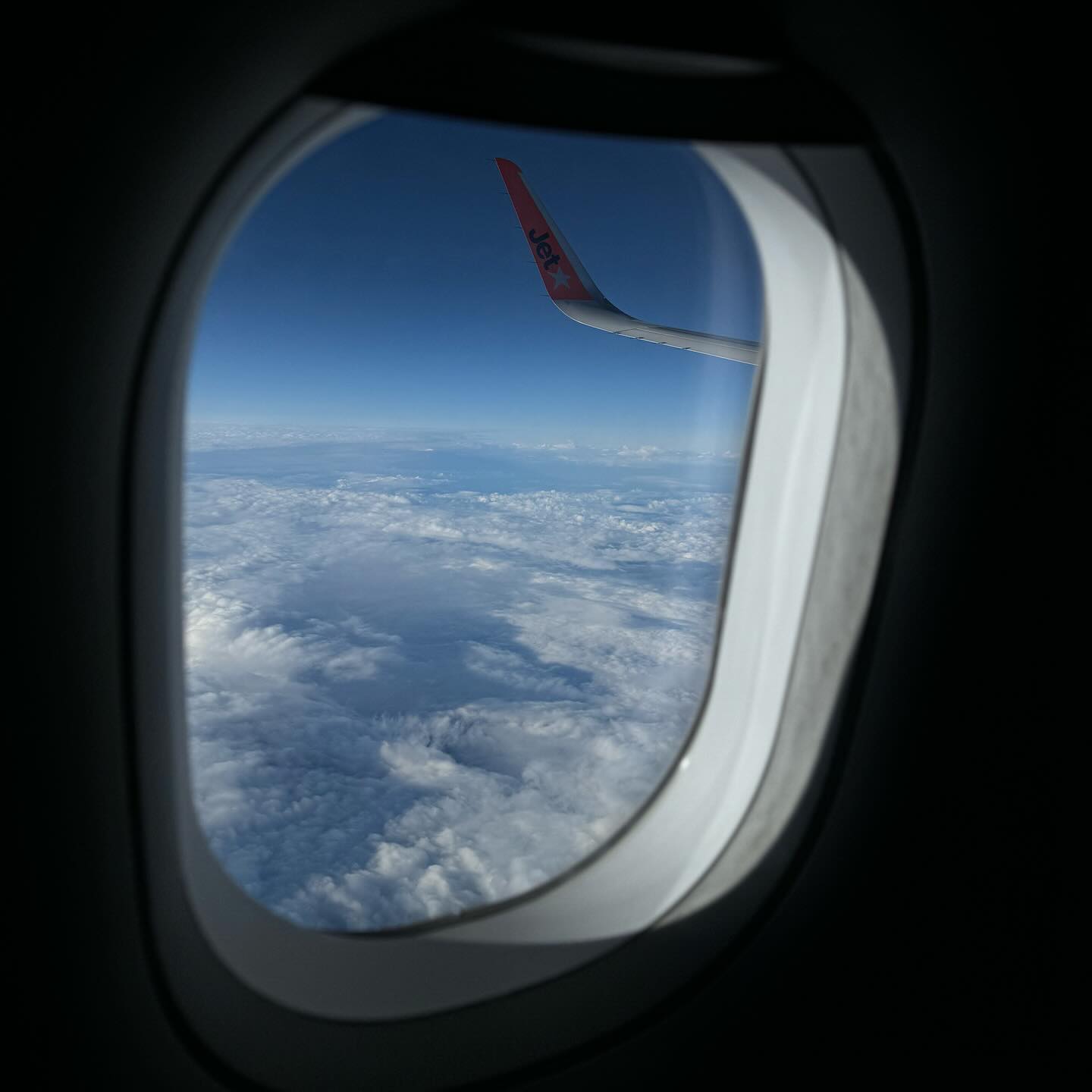 allygravemade instagram image archive image