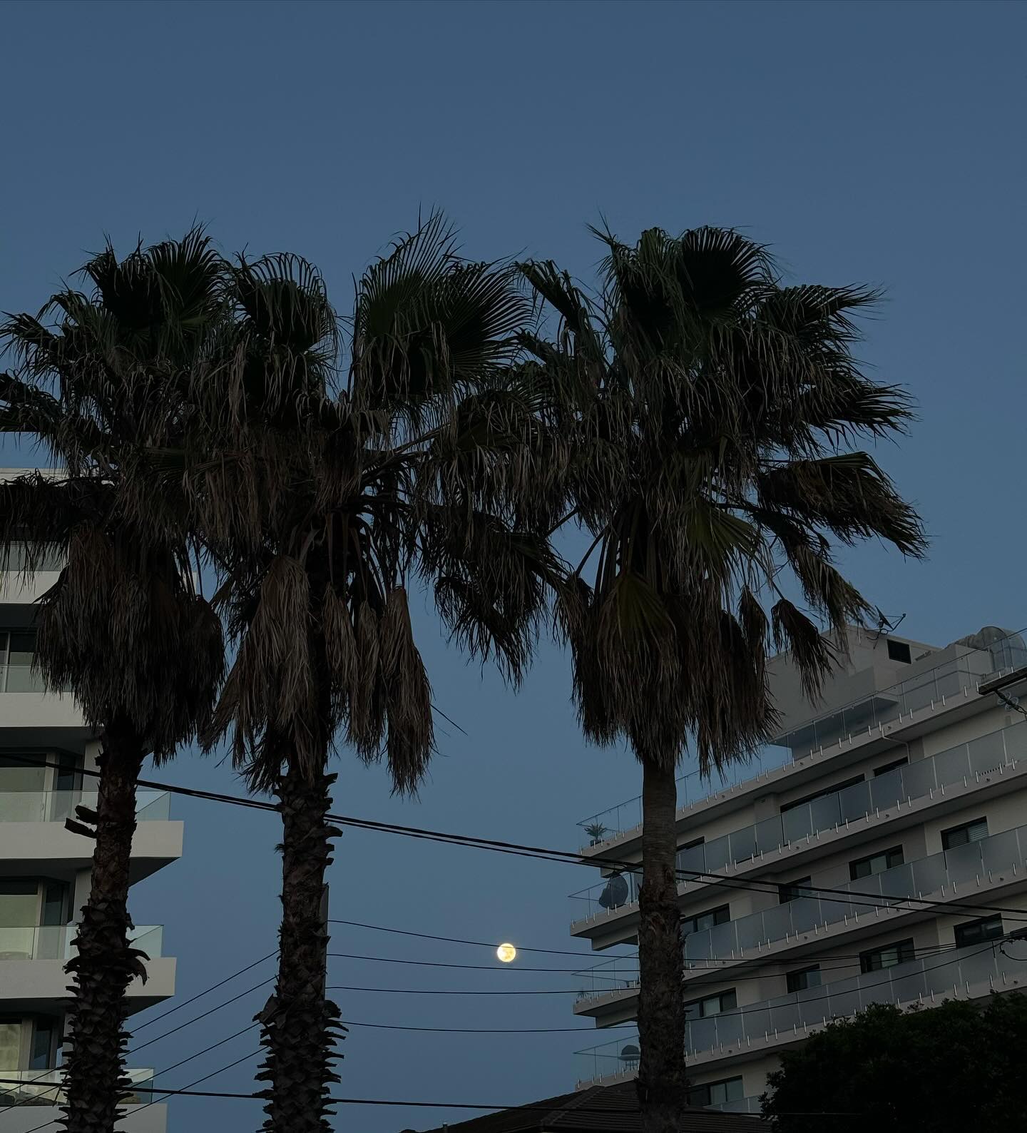 allygravemade instagram image archive image