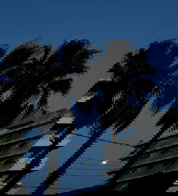 allygravemade image ~ Altpins