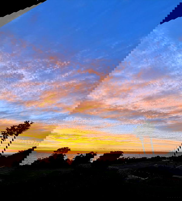 allygravemade image ~ Altpins