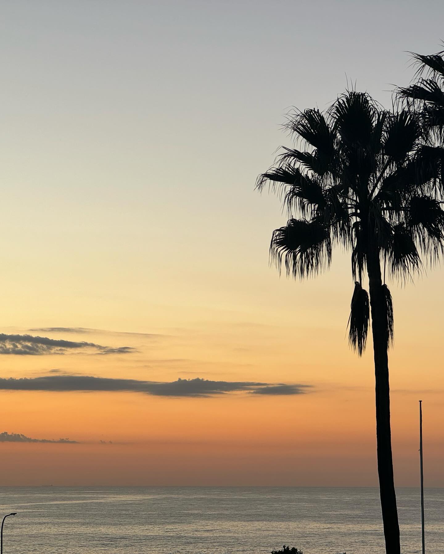 allygravemade instagram image archive image