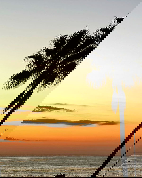 allygravemade image ~ Altpins