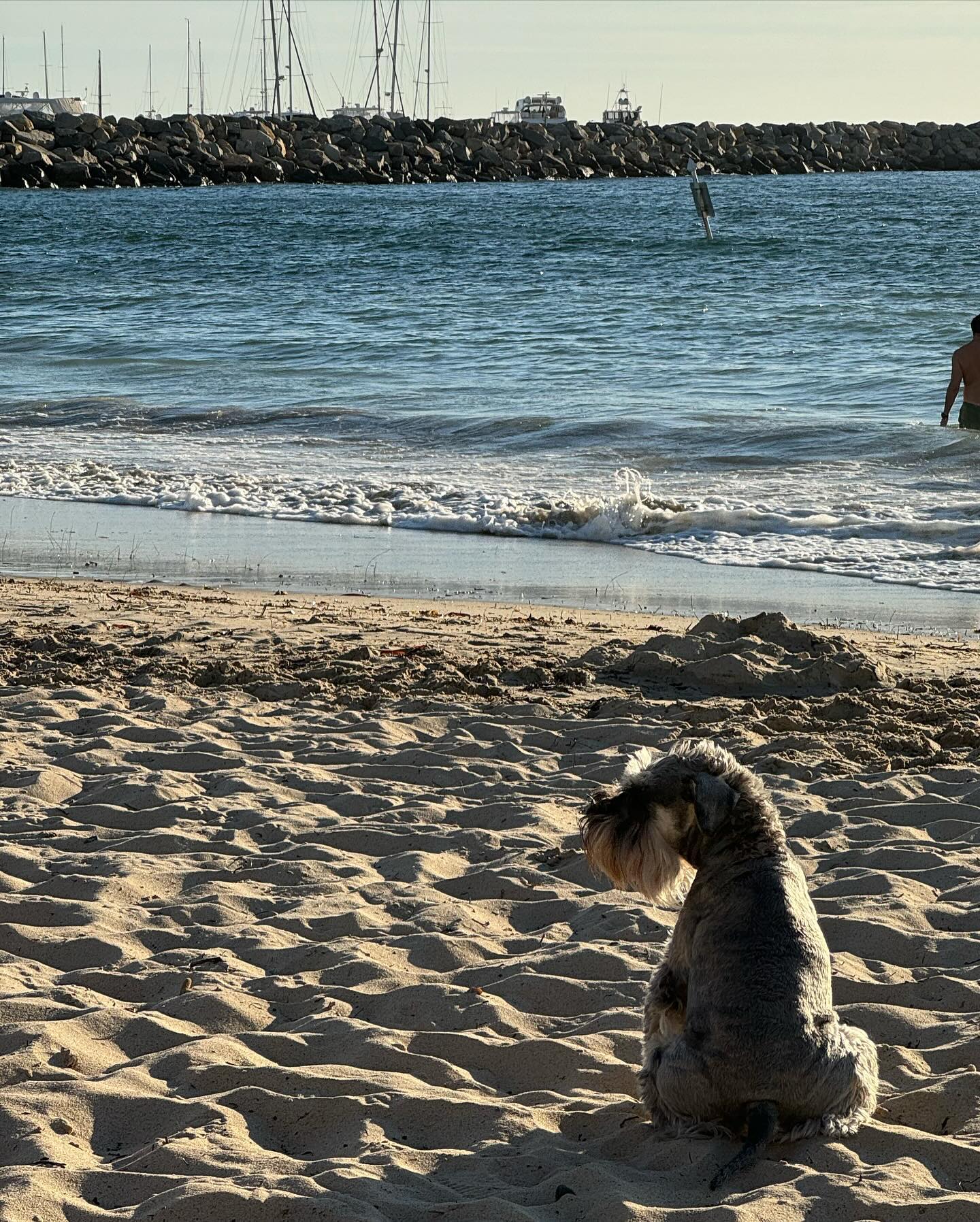 allygravemade instagram image archive image