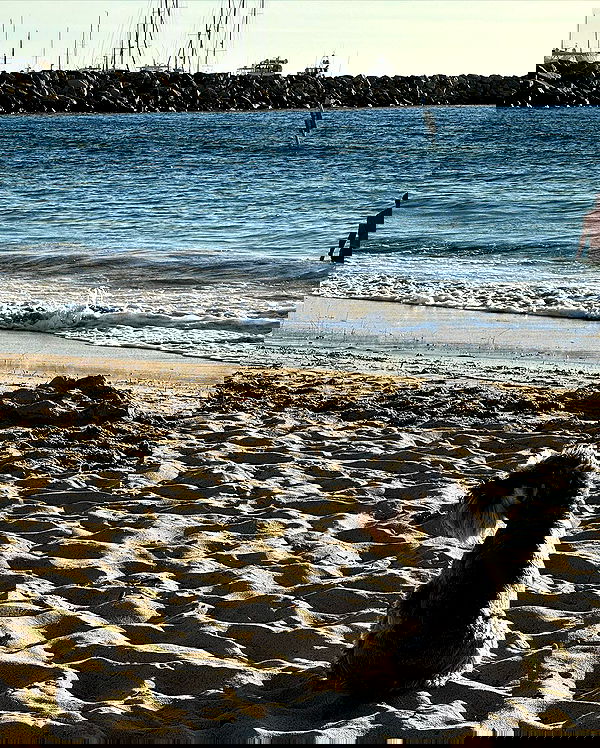 allygravemade image ~ Altpins