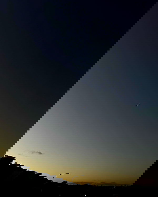 allygravemade image ~ Altpins