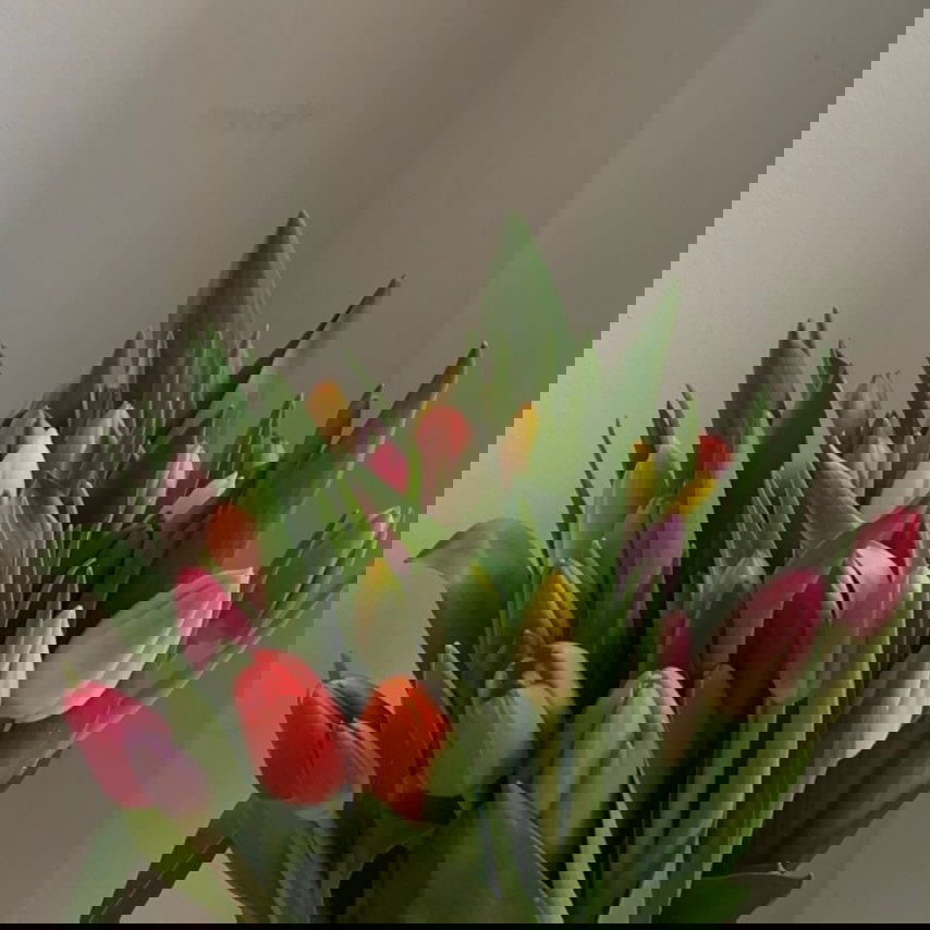 allygravemade instagram image archive image