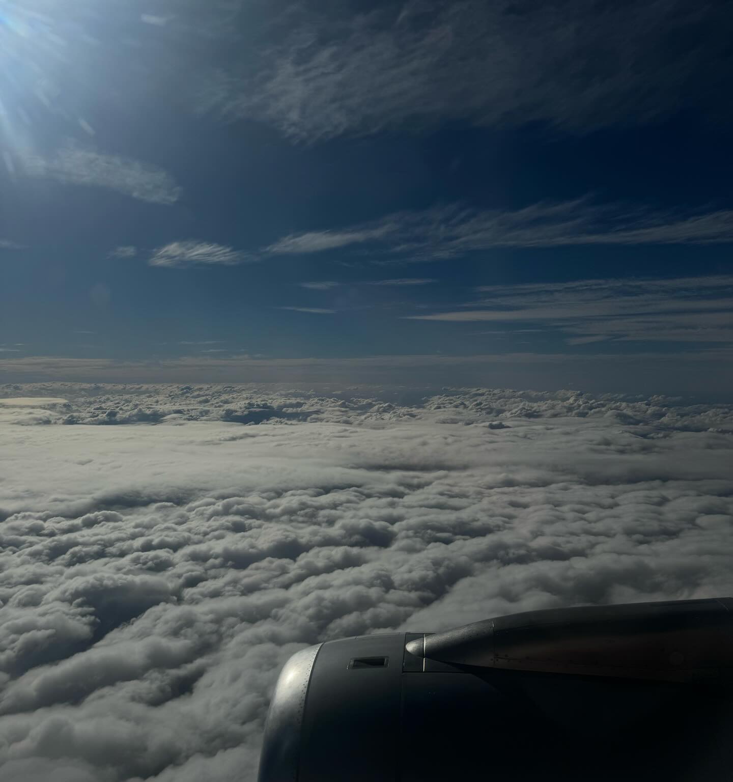 allygravemade instagram image archive image