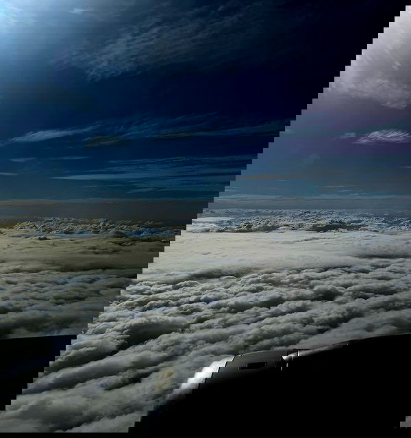 allygravemade image ~ Altpins