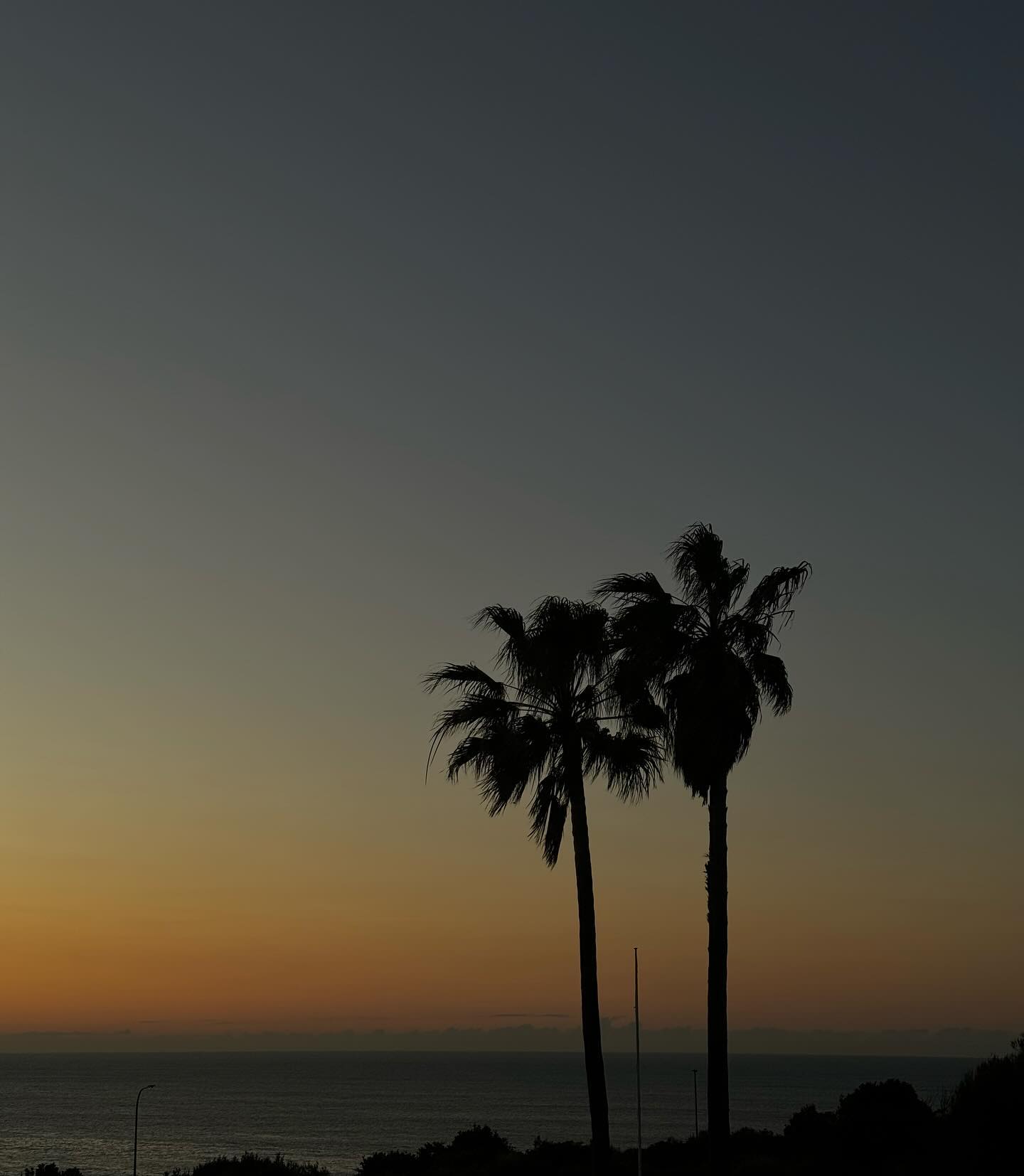 allygravemade instagram image archive image