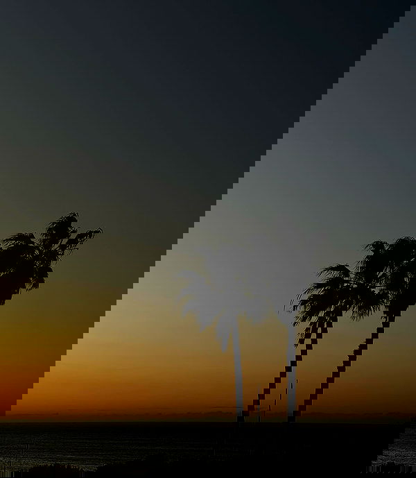 allygravemade image ~ Altpins