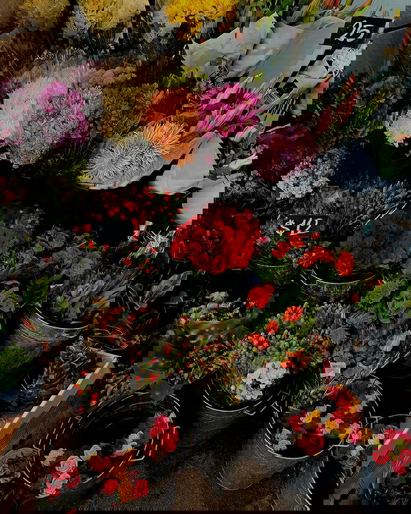 allygravemade image ~ Altpins