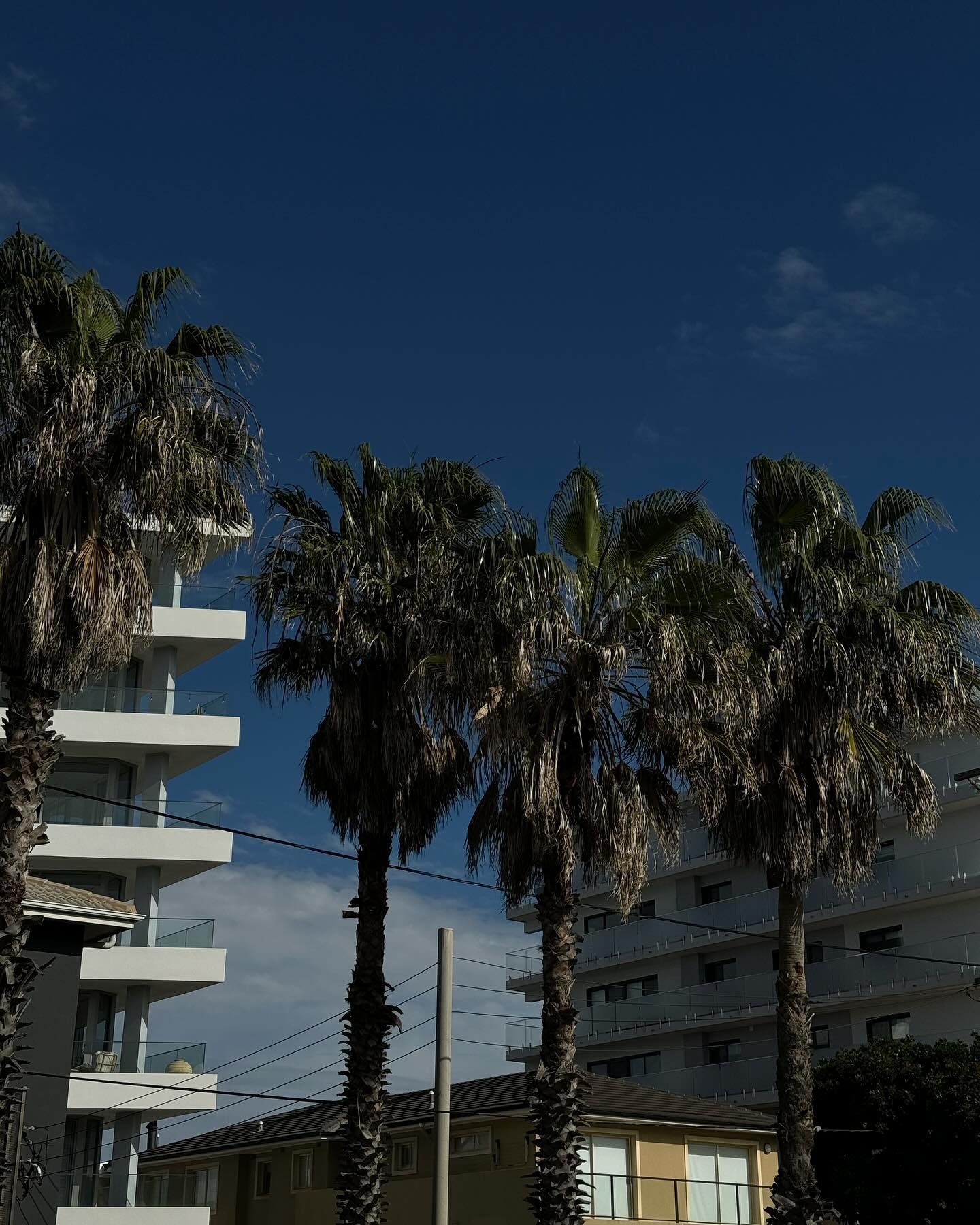 allygravemade instagram image archive image