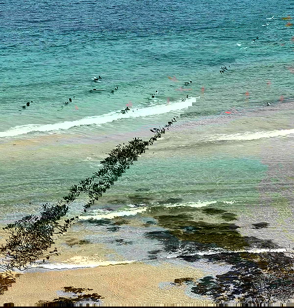 allygravemade image ~ Altpins