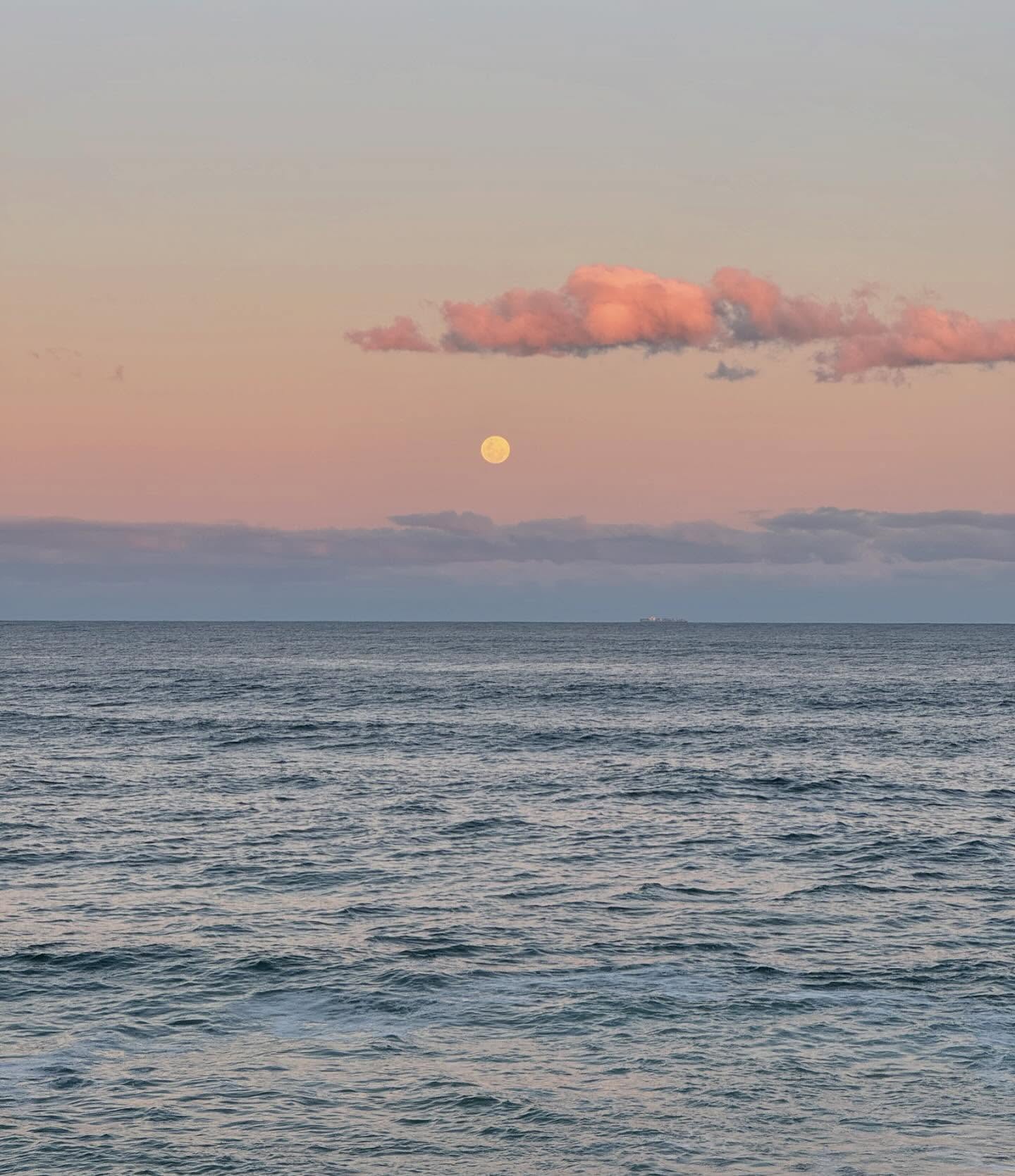 allygravemade instagram image archive image