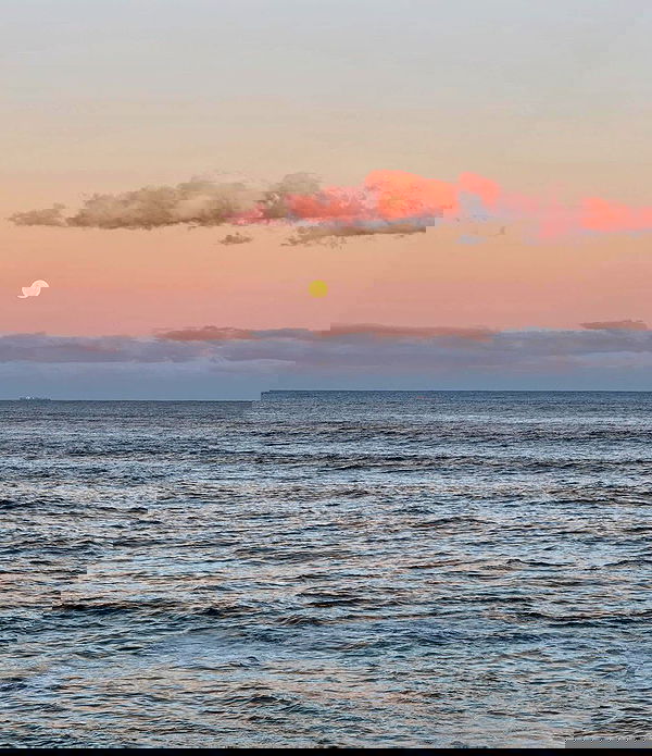 allygravemade image ~ Altpins