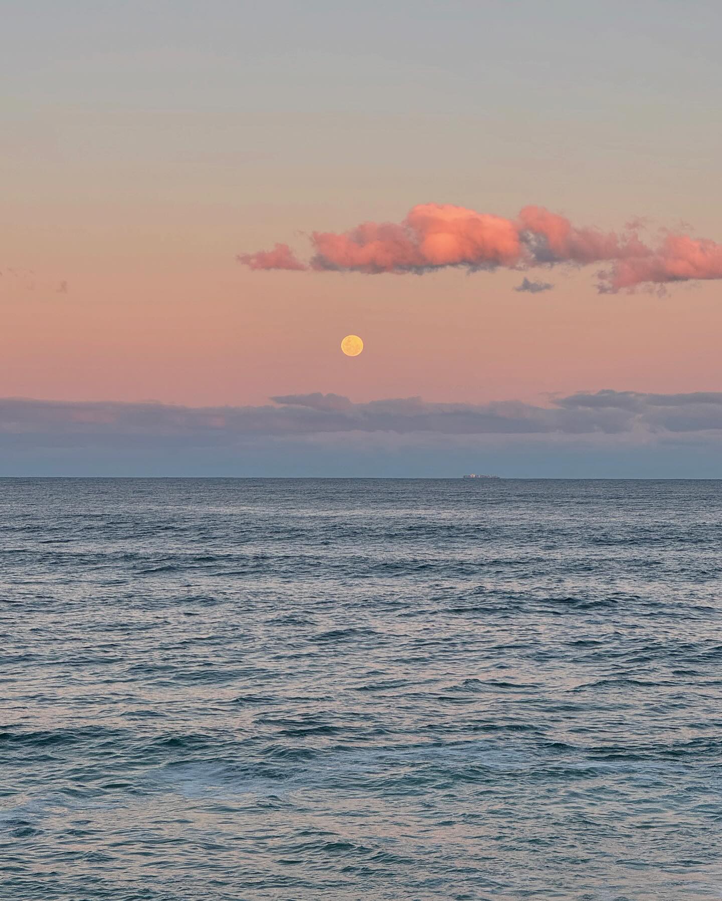 allygravemade instagram image archive image