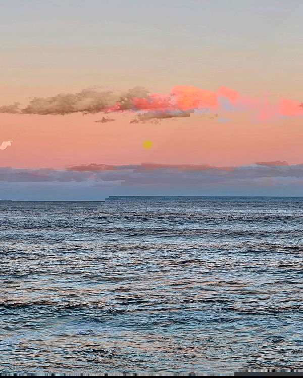 allygravemade image ~ Altpins