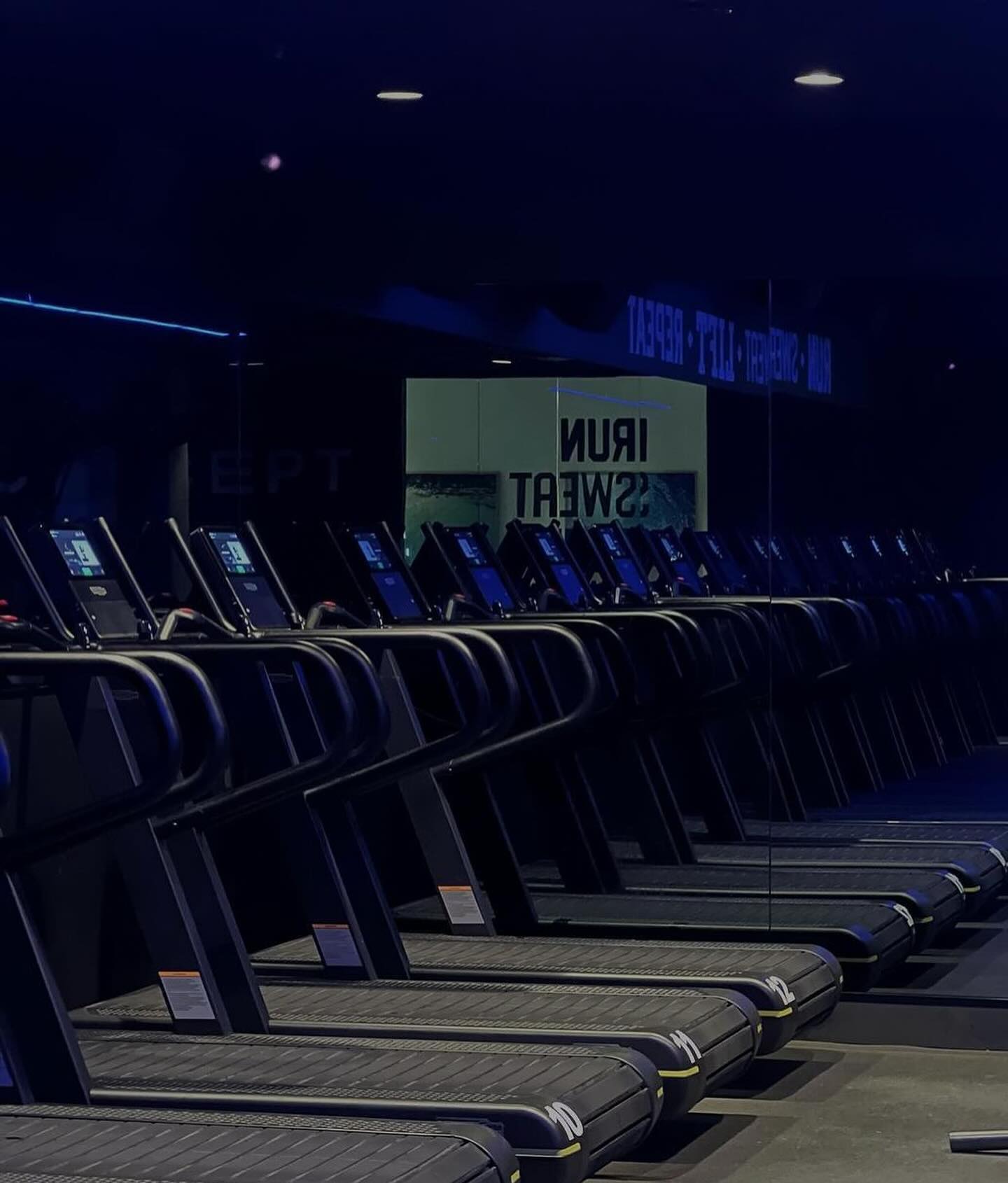 allygravemade instagram image archive image