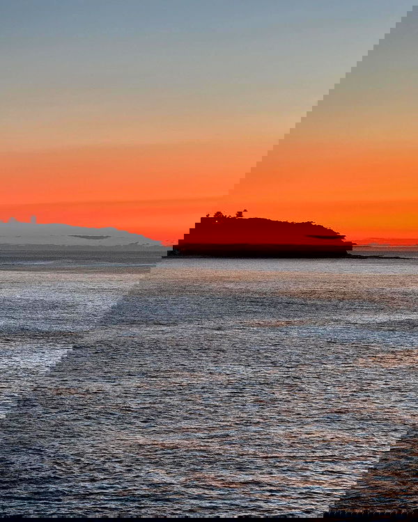 allygravemade image ~ Altpins