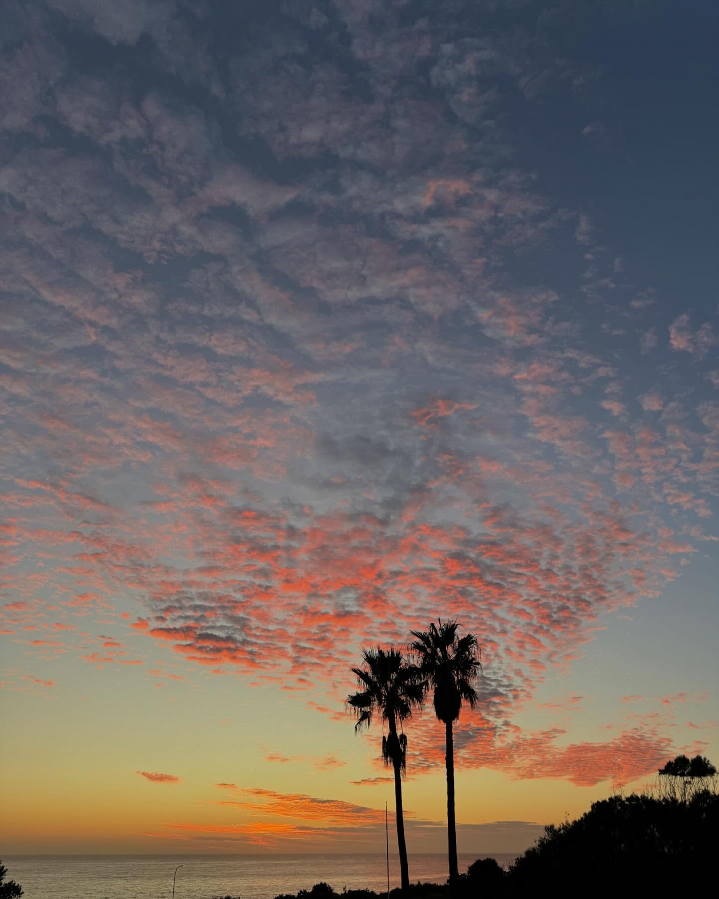 allygravemade instagram image archive image