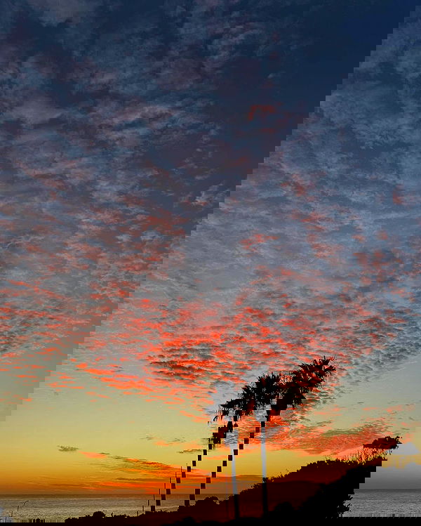 allygravemade image ~ Altpins