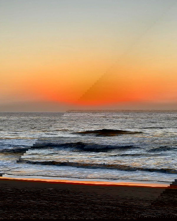 allygravemade image ~ Altpins