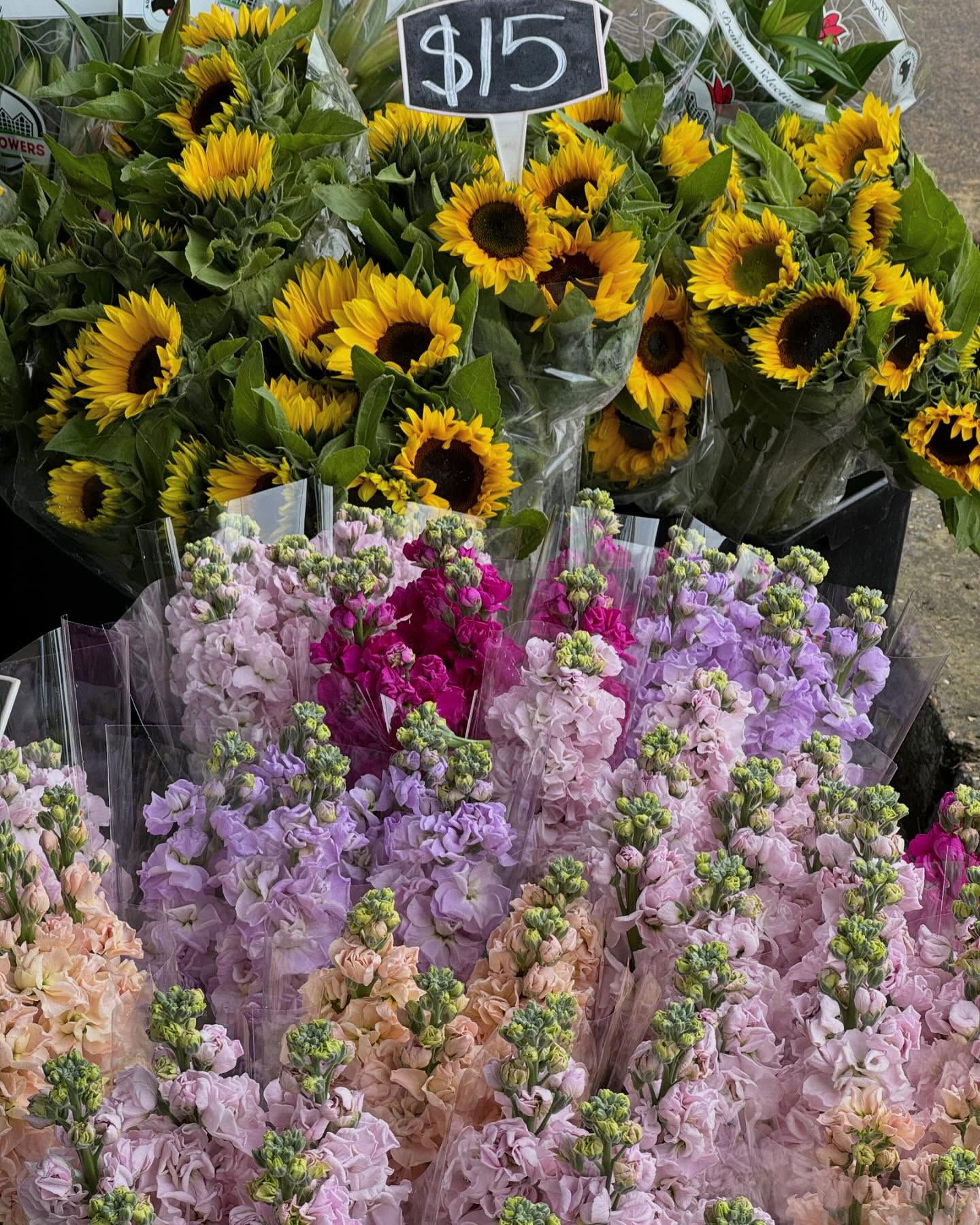 allygravemade instagram image archive image