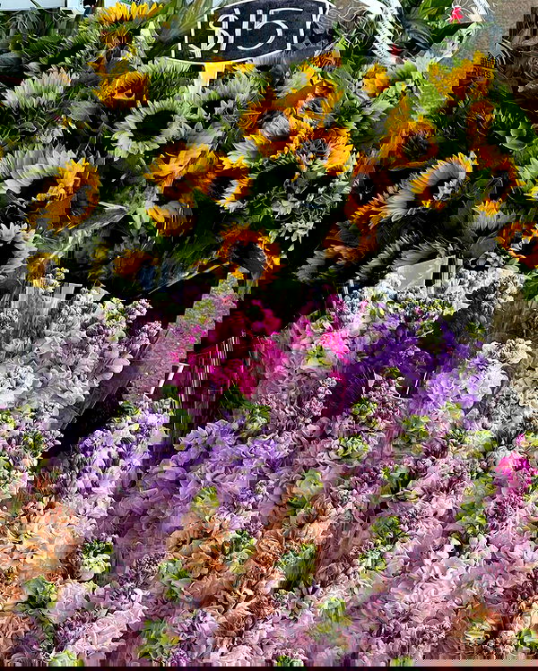 allygravemade image ~ Altpins